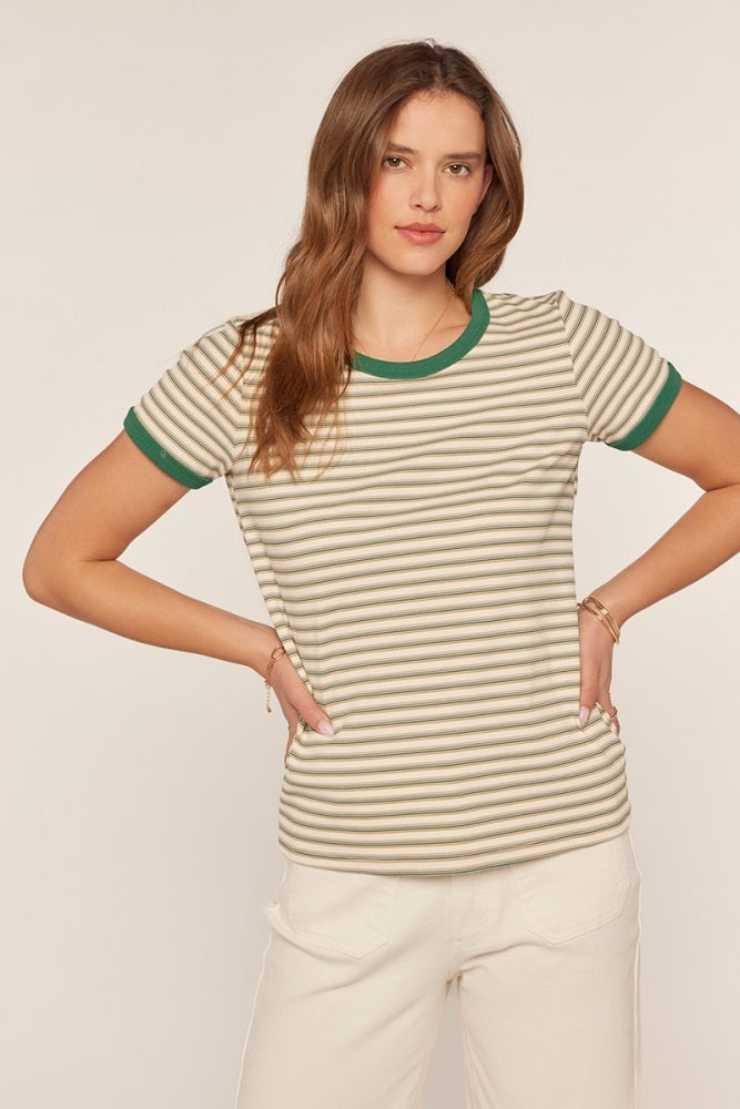 Green Striped Ribbed Knit T-Shirt