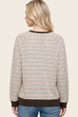 Brown Muticolor Striped Long Sleeve Top