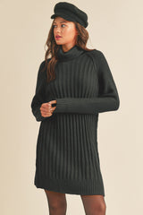 Black Turtleneck Maternity Sweater Dress